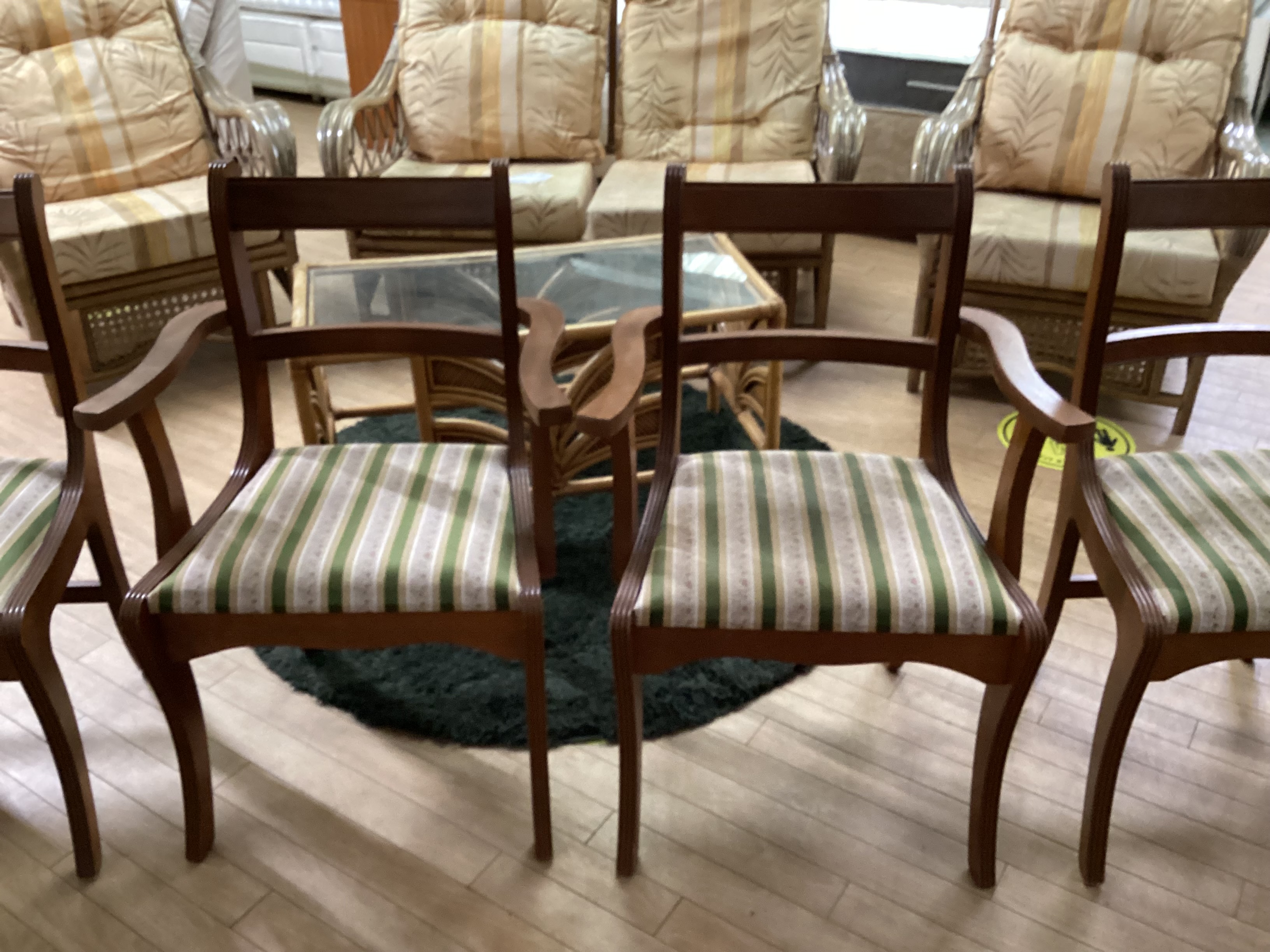     6 x Dining Chairs (2 Carvers)